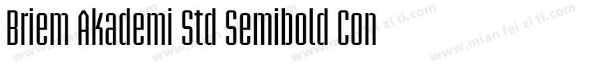 Briem Akademi Std Semibold Cond字体转换